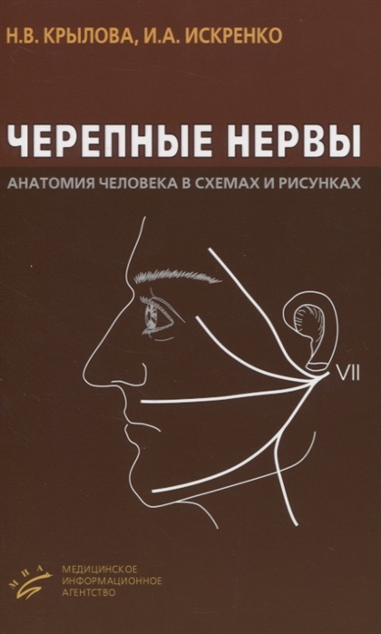 

Черепные нервы. Анатомия человека в схемах и рисунках. Атлас-пособие