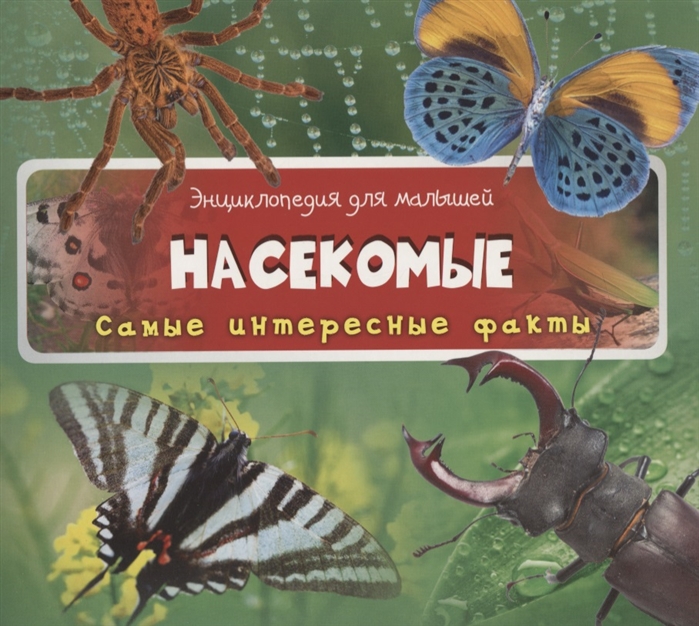 

Насекомые (3+)