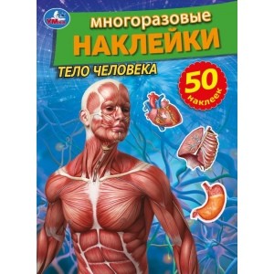 

Тело человека. Активити многоразовыми наклейками