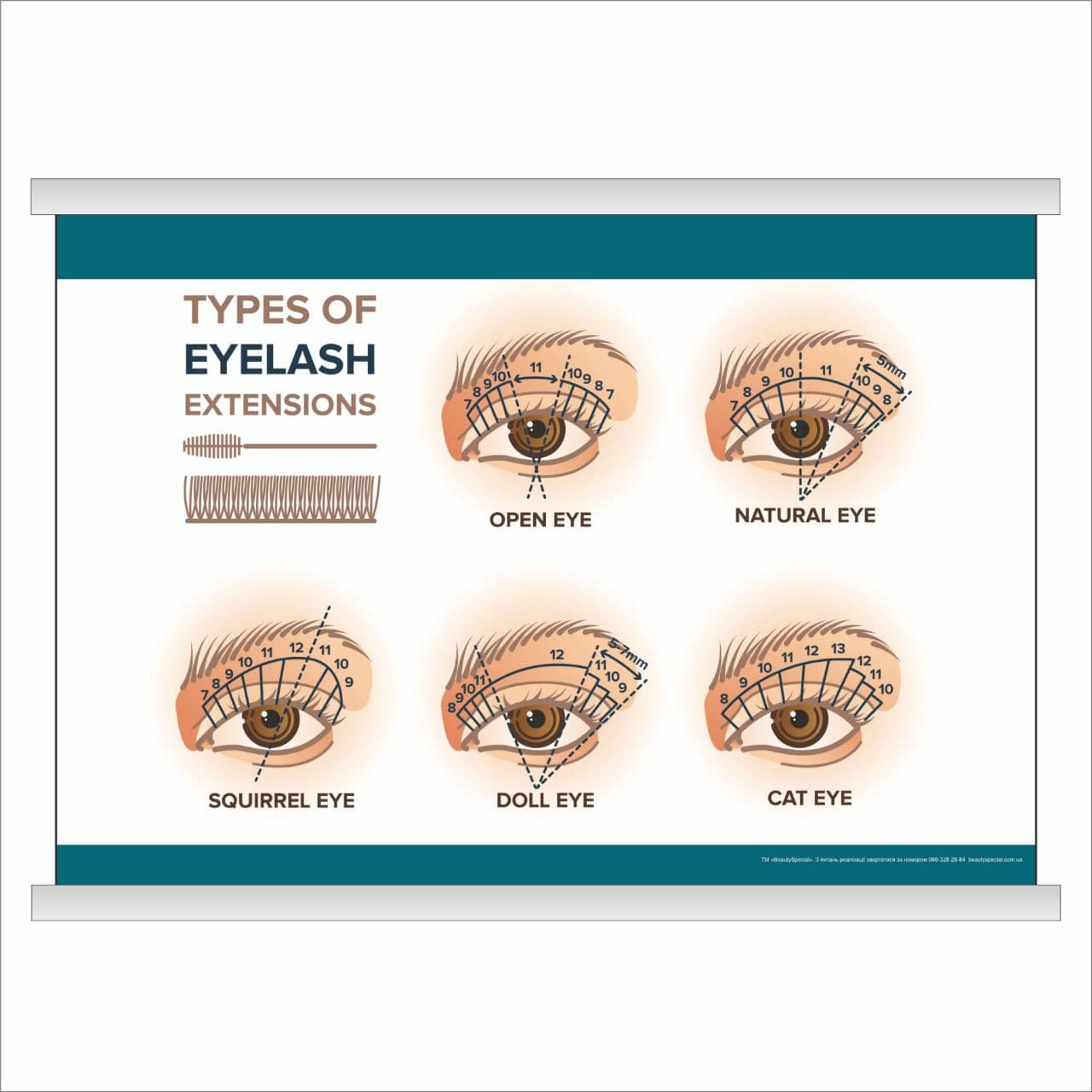 

Плакат Beauty Special “Types of eyelash extensions” с планкой А0 (9453)