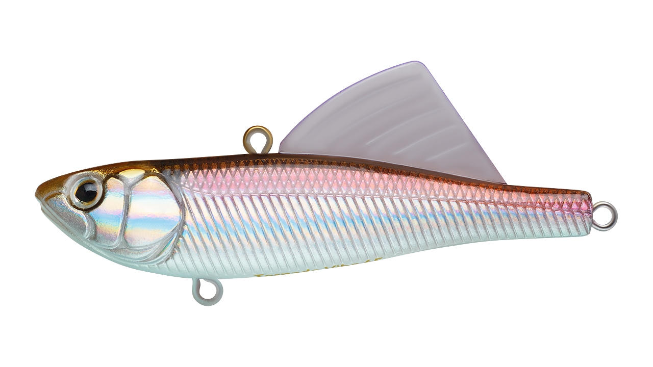 

Воблер Раттлин Strike Pro Tornado Vibe 65, 65 мм, 14,5 гр, Тонущий, цвет: A53-EP Silver Smelt UV, (EG-204A-UV#A53-EP) (96471)