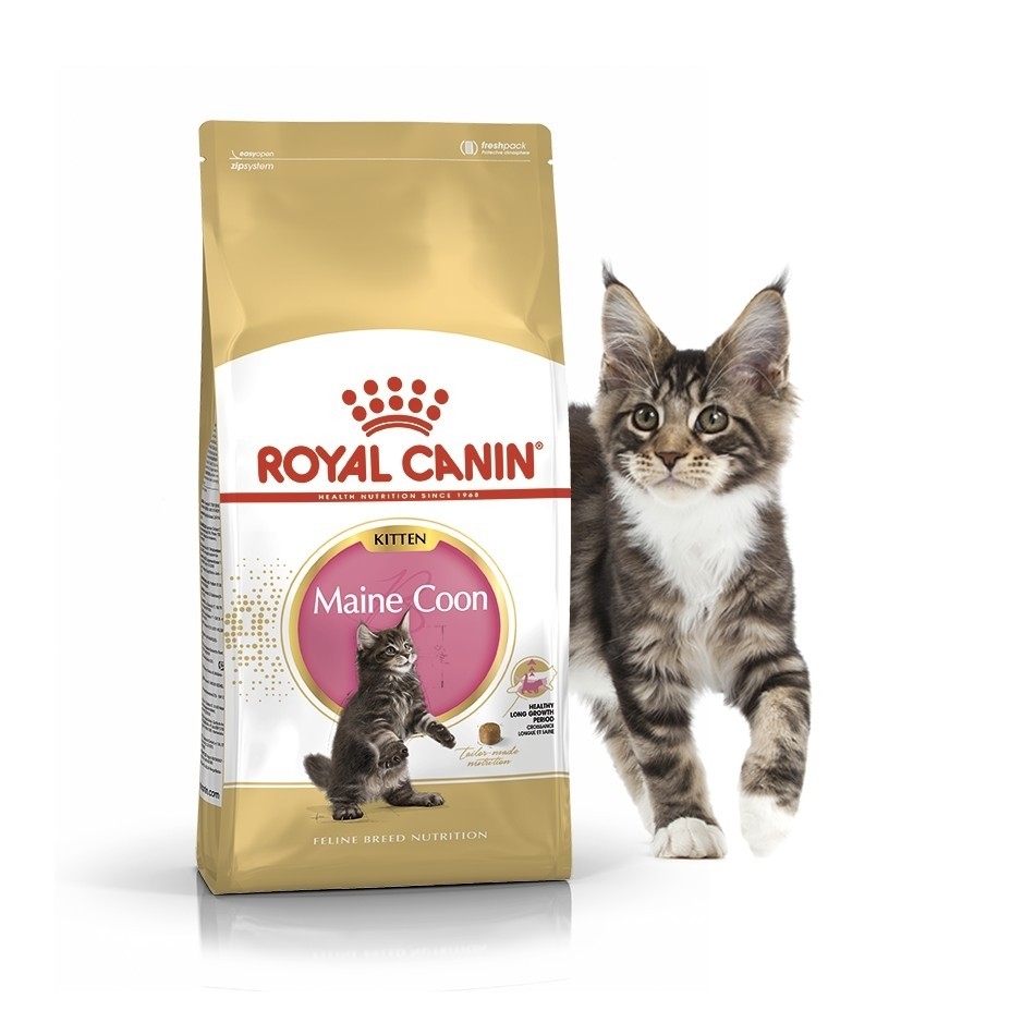 

Сухой корм Royal Canin Maine Coon Kitten для котят породы мейн-кун до 15 месяцев 4 кг