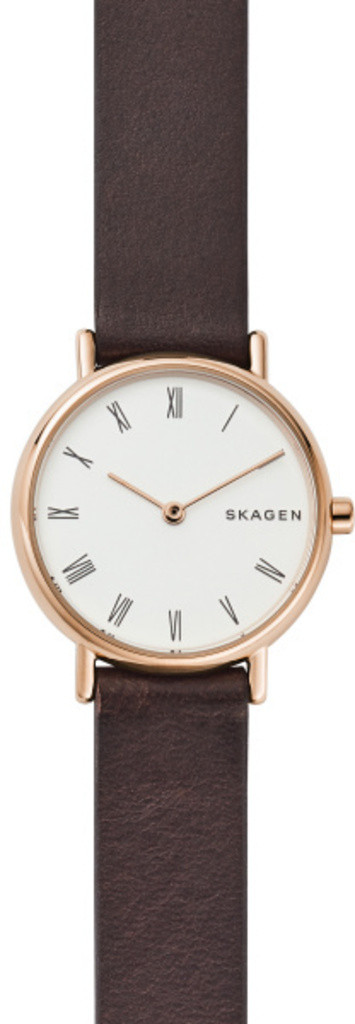 

Часы SKAGEN SKW2760