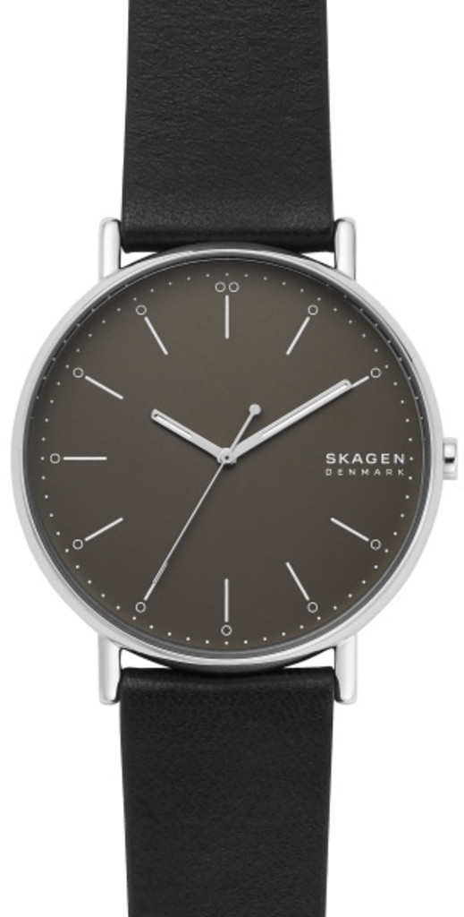 

Часы SKAGEN SKW6528