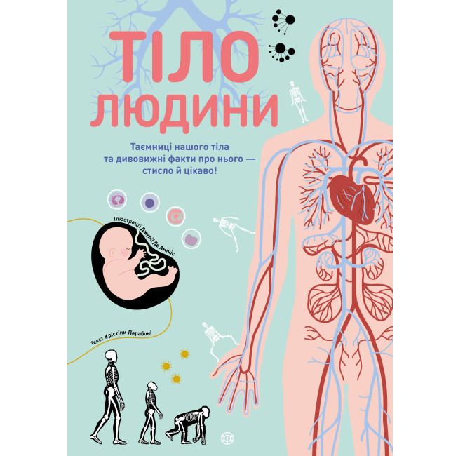 

Книга Тело человека твердая обложка MiC (Z104027У) (173164)