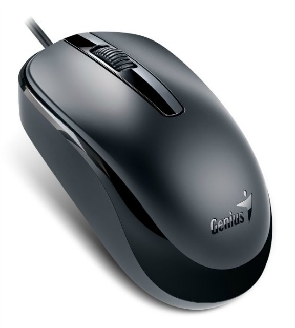 

Мышь Genius DX-120 черная USB