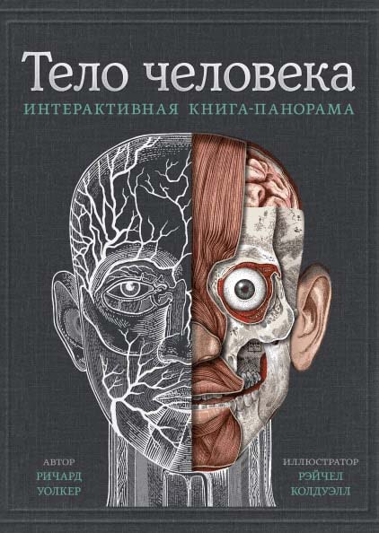 

Тело человека. Интерактивная книга-панорама - Ричард Уолкер (978-5-00169-061-0)