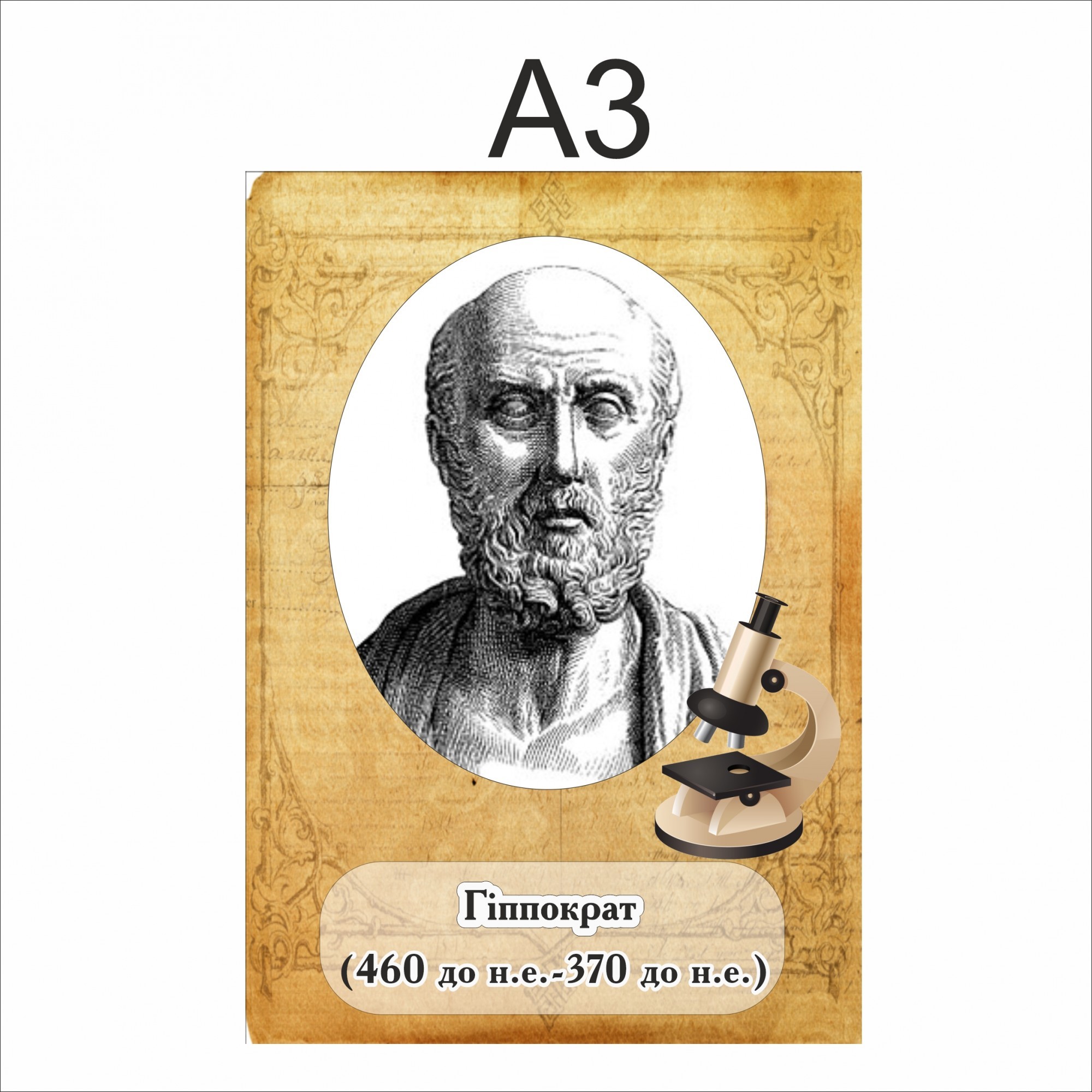 

Портрет Vivay Гіппократ А3 (6800)