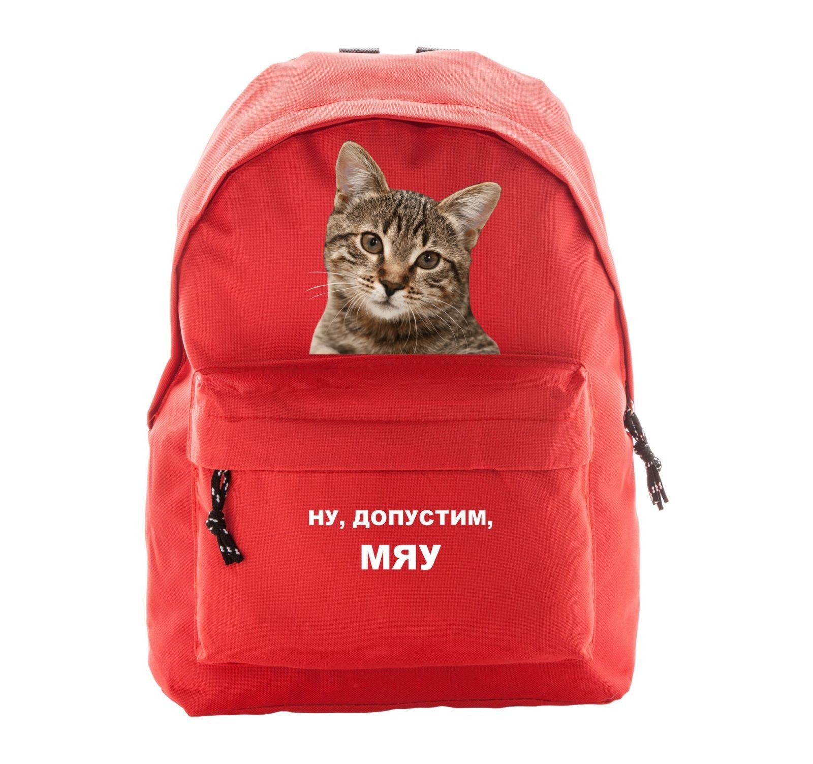 

Рюкзак Vivay Ну допустим МЯУ 38Х12Х28 см Червоний (6468)
