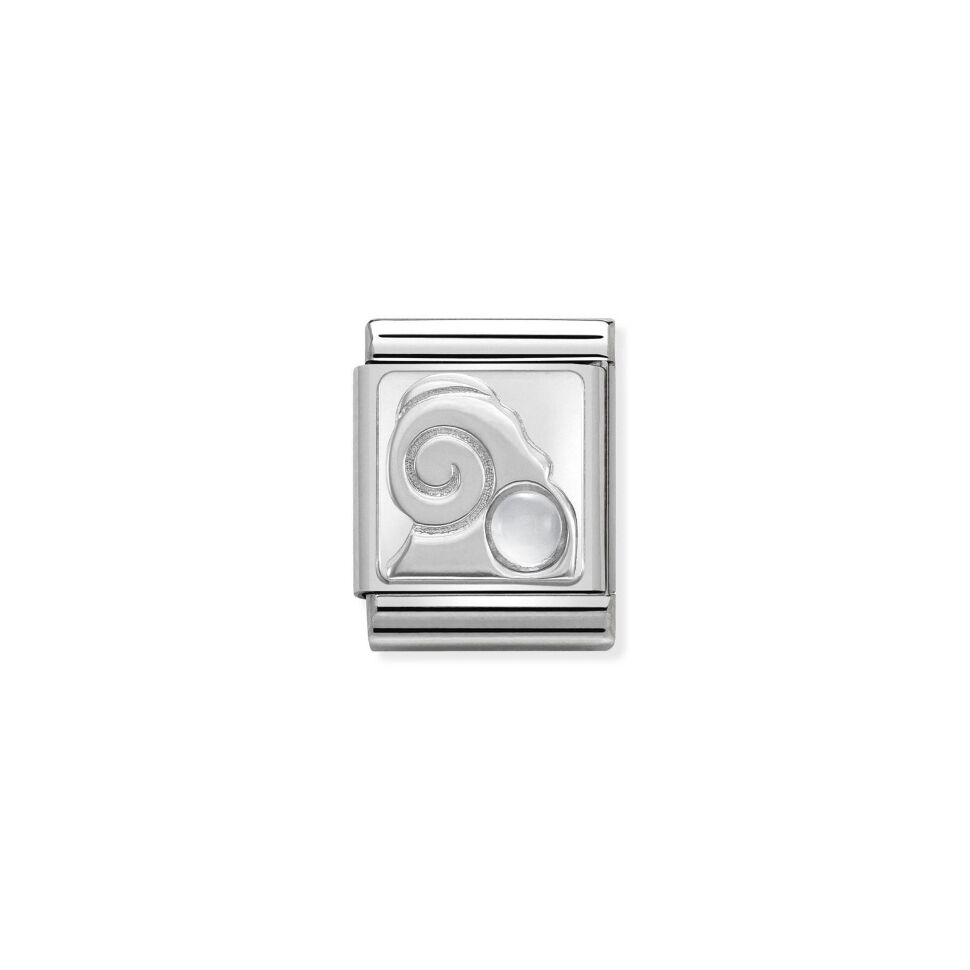 

Звено Nomination Zodiac из стали 2100000261499