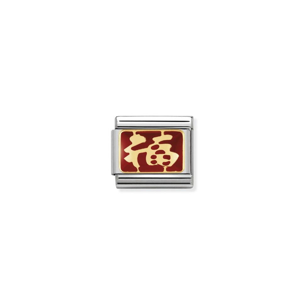 

Звено Nomination Chinese Symbols из стали 2100000258512