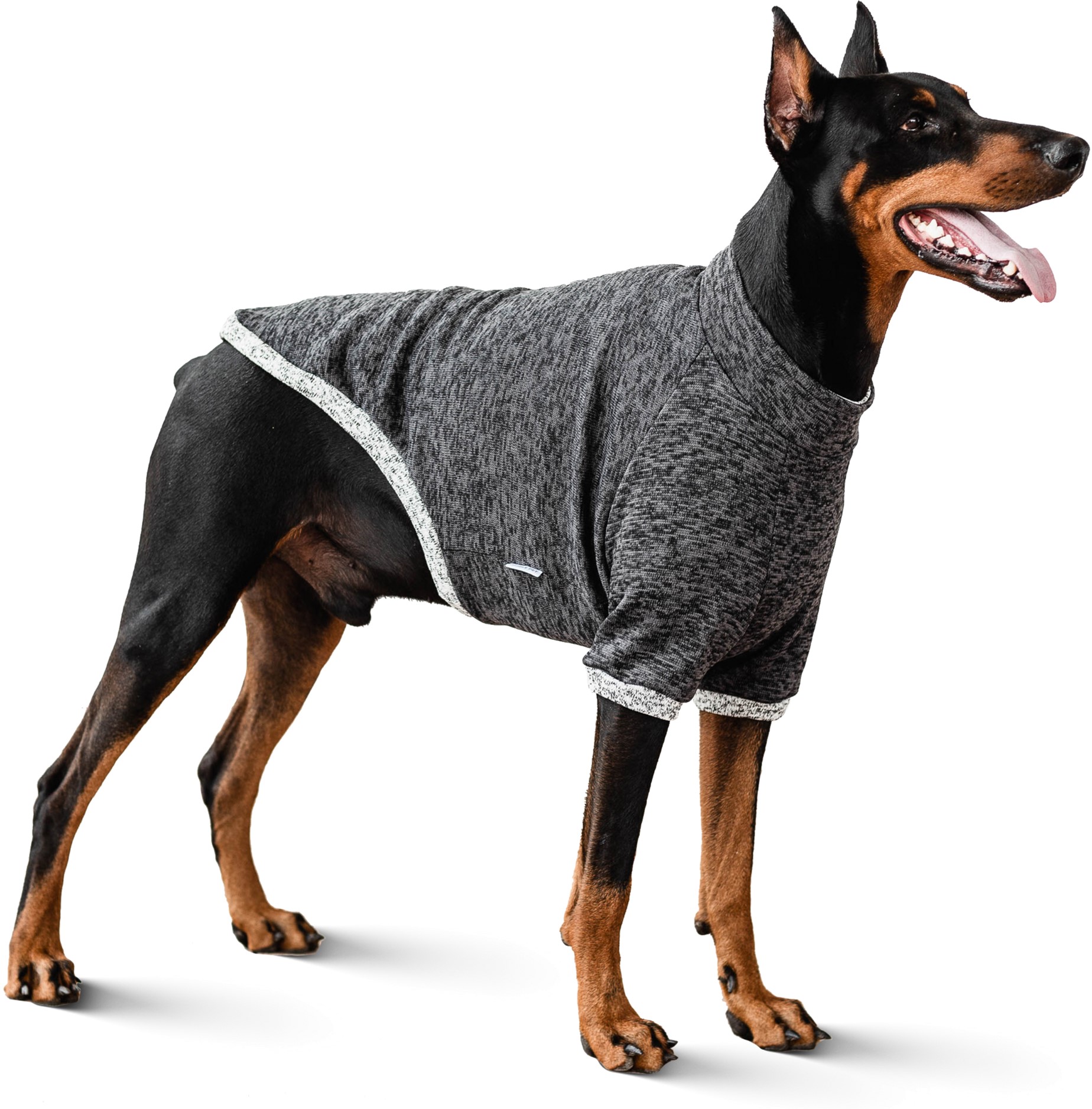 

Свитшот Noble Pet на флисе Frederick Dark Grey FR4112/5XL
