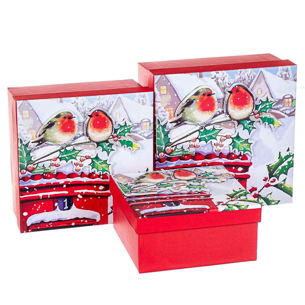 

Набор из 3 коробок "Зимние птички" 20*20*9,5 (8211-054)