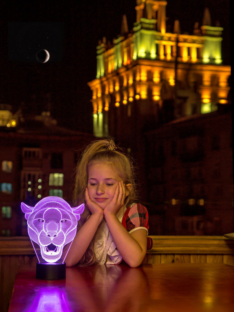 

3D лампа "Пума" 3DTOYSLAMP