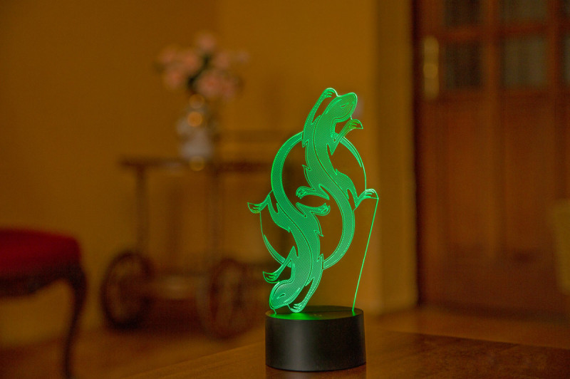 

3D светильник ночник "Саламандра" 3DTOYSLAMP