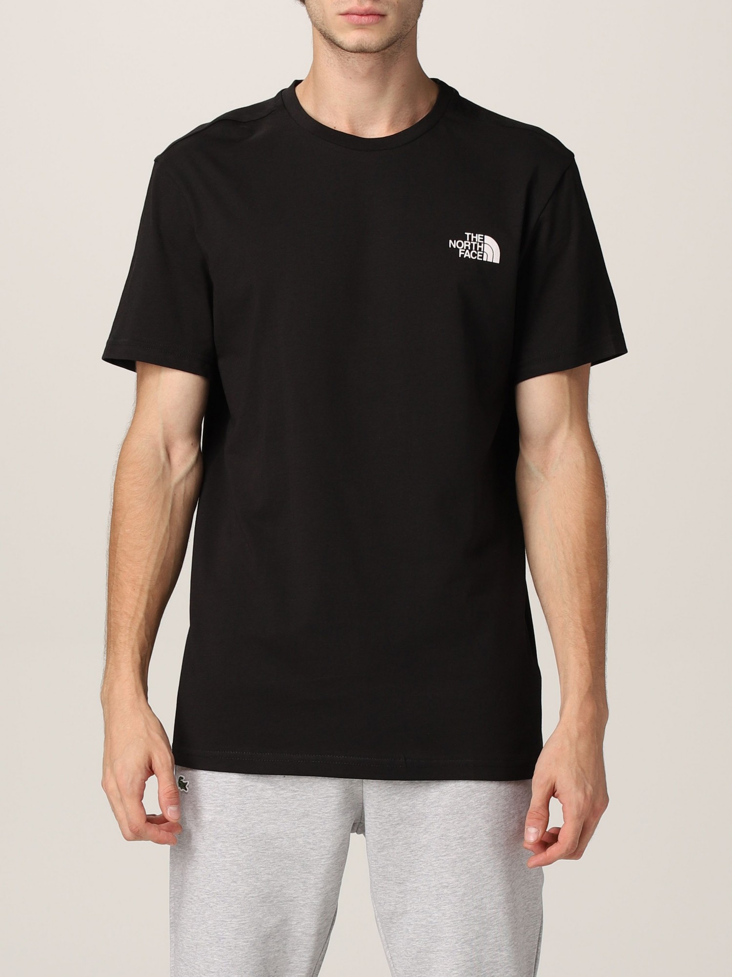 

Мужская футболка The North Face Simple Dome М Черный NF0A2TX5JK31
