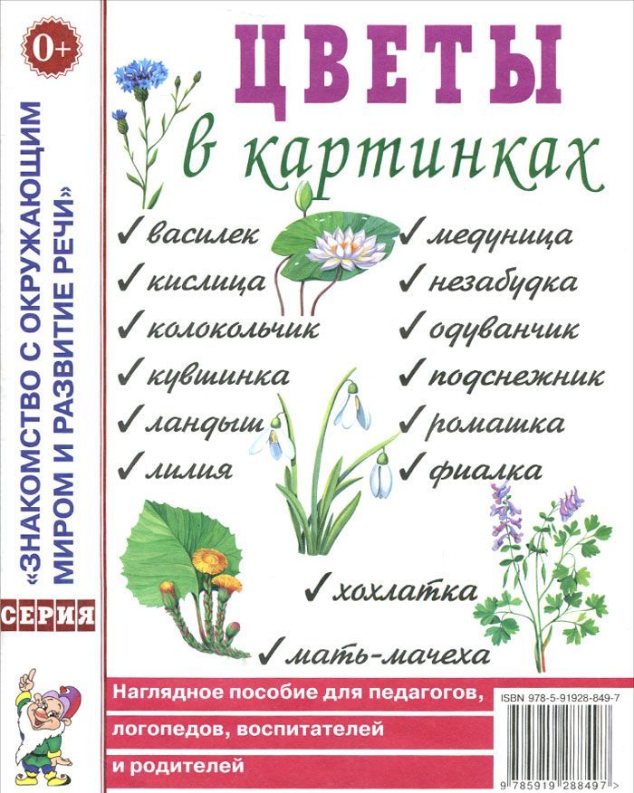 

Цветы в картинках. Наглядное пособие для педагогов, логопедов, воспитателей и родителей (956222)