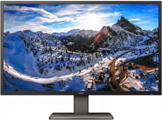 

Монитор Philips 439P1/00 (F00253357)