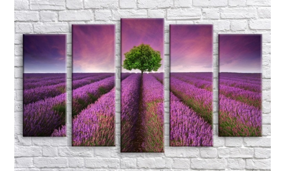 

Модульная картина "Прованс 4" Holstart 55х100 см