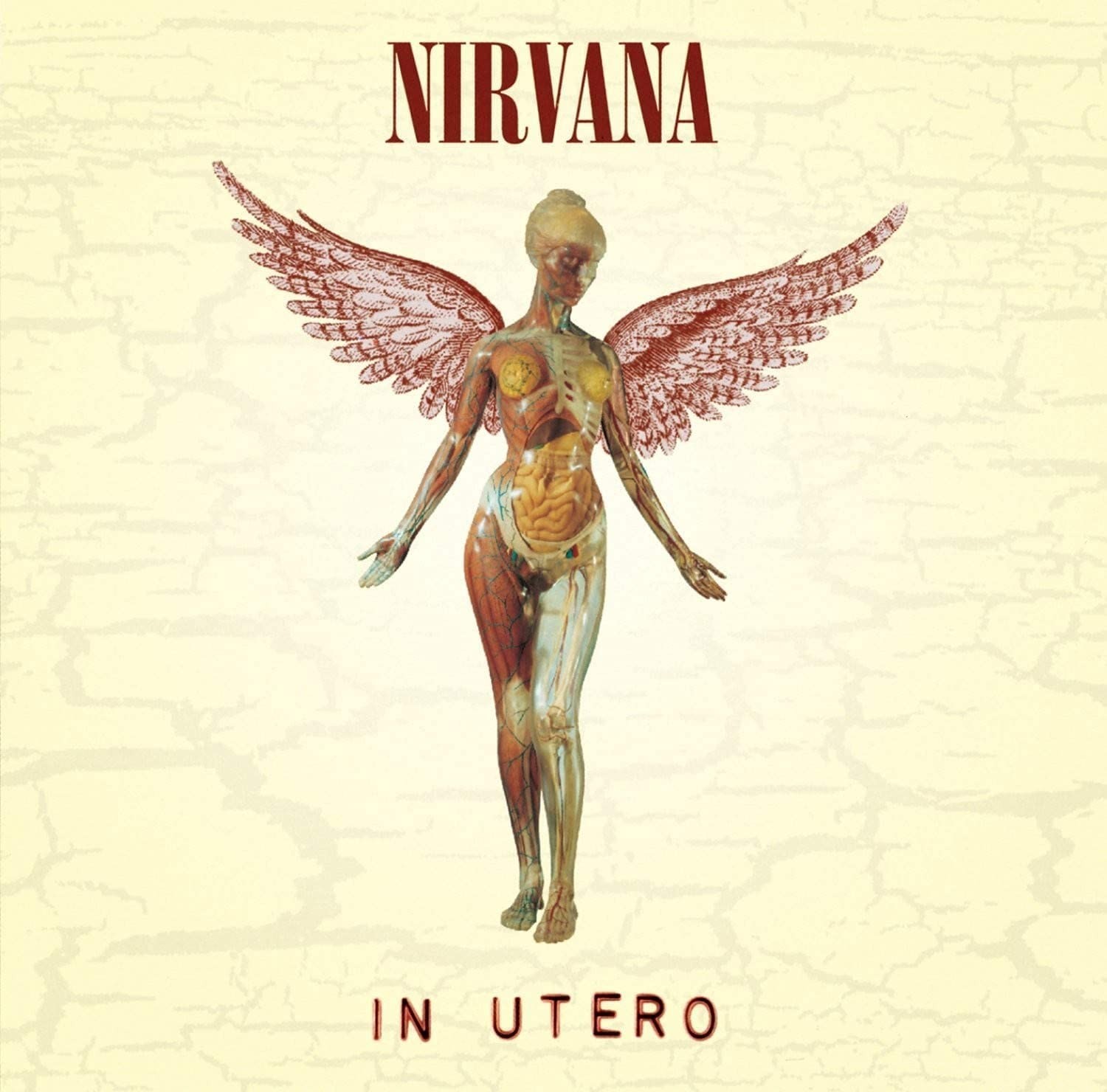 

Виниловая пластинка Nirvana - In Utero (0720642453612)