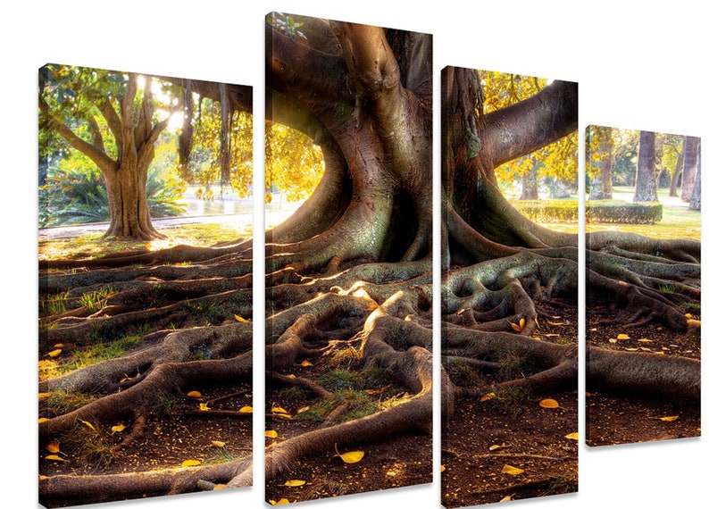 

Модульная картина на холсте из четырех частей Природа Старое дерево 89x56 см