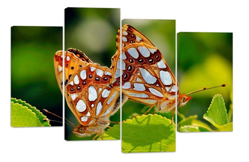 

Модульная картина на холсте из четырех частей Животные Пара бабочек 89x56 см