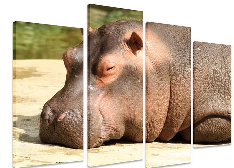 

Модульная картина на холсте из четырех частей Животные Спящий бегемот 89x56 см