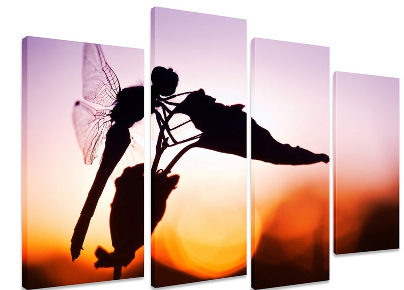 

Модульная картина на холсте из четырех частей Насекомое Силуэт стрекозы 89x56 см