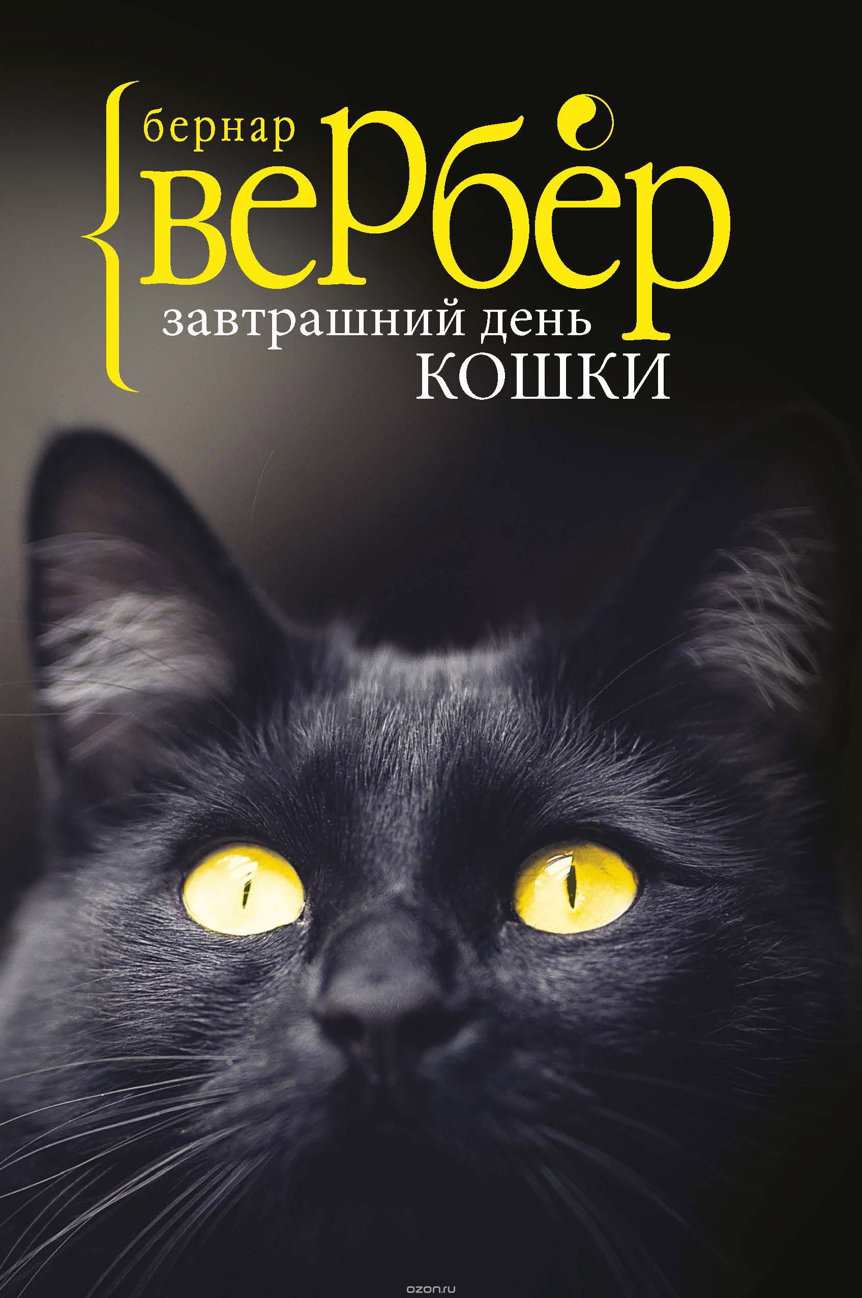 

Завтрашний день кошки | Вербер Бернар