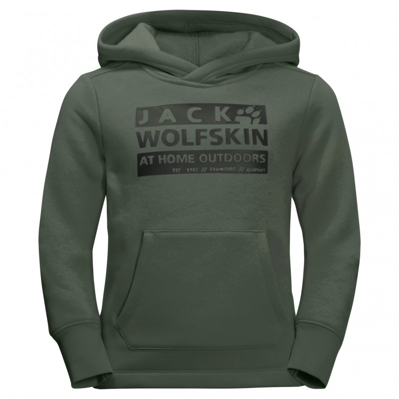 

Толстовка BRAND HOODY K Jack Wolfskin 1609151-5032 164 Зеленый (4060477945842)