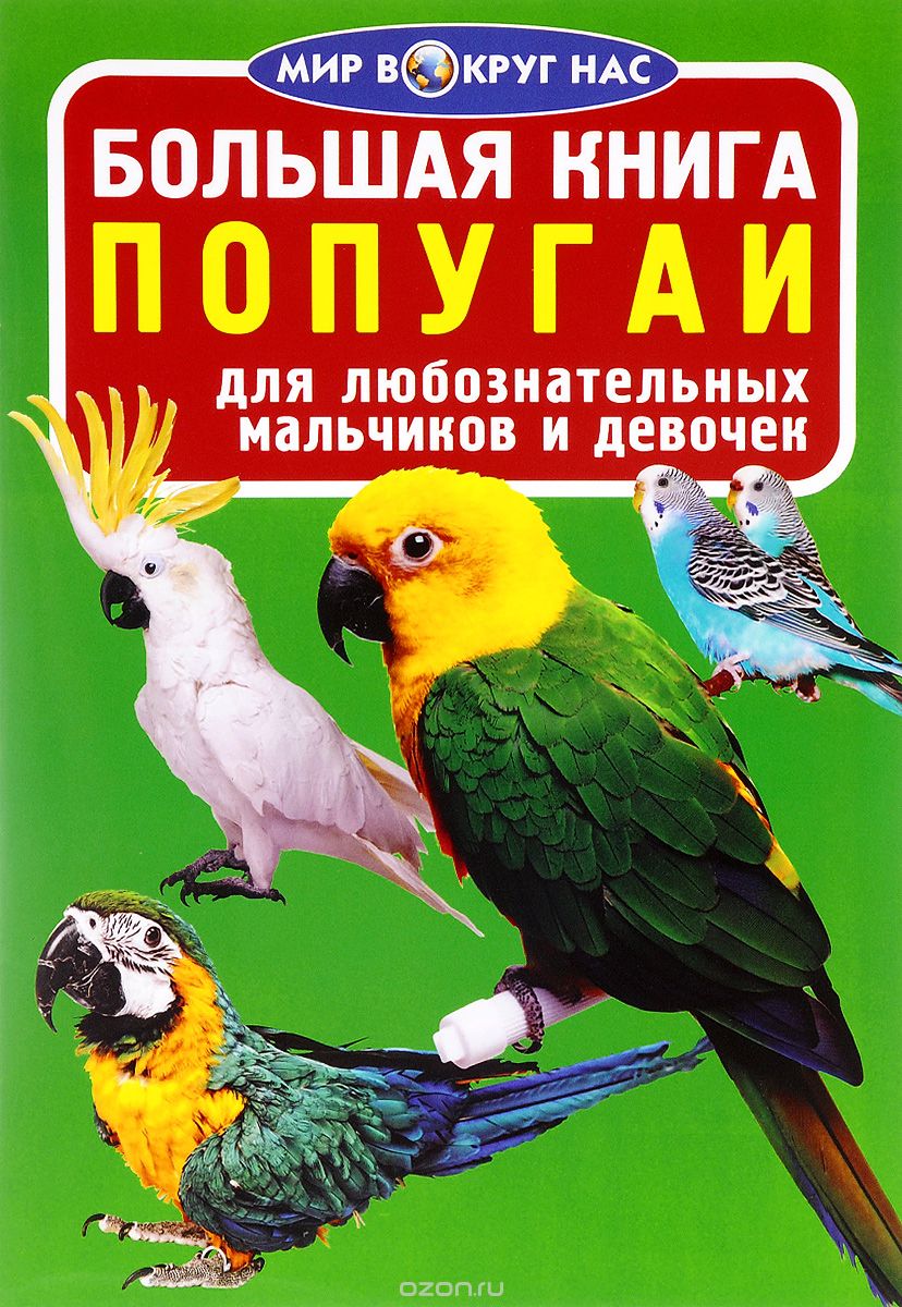 

Попугаи (1563694)