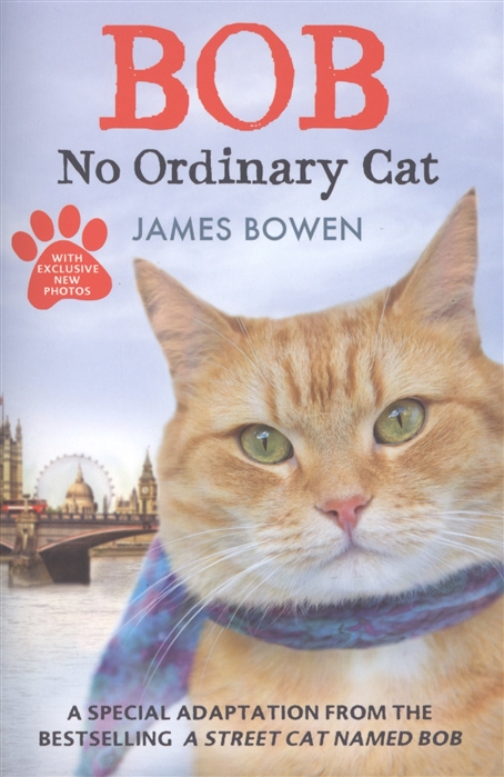 

Bob: No Ordinary Cat