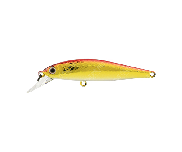 

Воблер ZipBaits Rigge Flat 70S # 703 (арт.1234909932919)