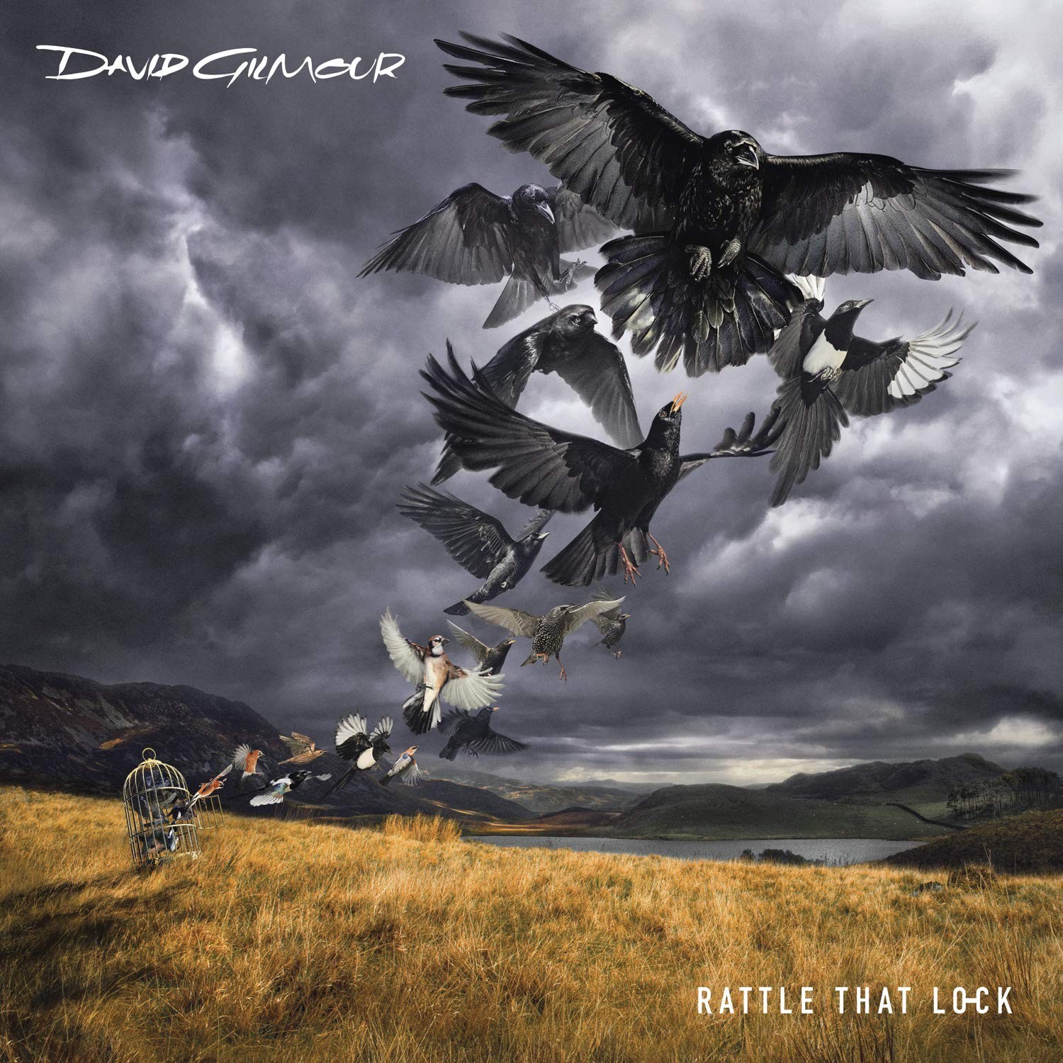 

DAVID GILMOUR – Rattle That Lock