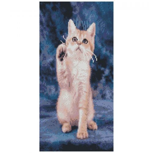 

Алмазная мозаика "Котенок"