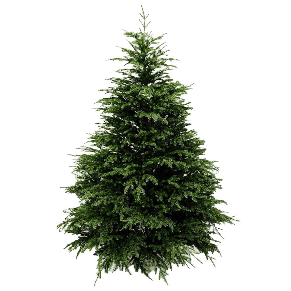 

Искусственная ель Элит Arts Pine «Ника» на металлических крабах пластик литая 120 см Зеленый (EL-С085) TRG-85911