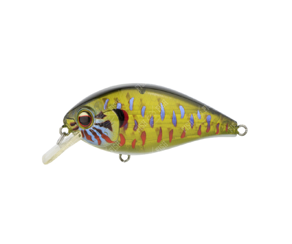 

Воблер EverGreen Combat Crank Shallow Hawg # 286 (арт.1234909932991)