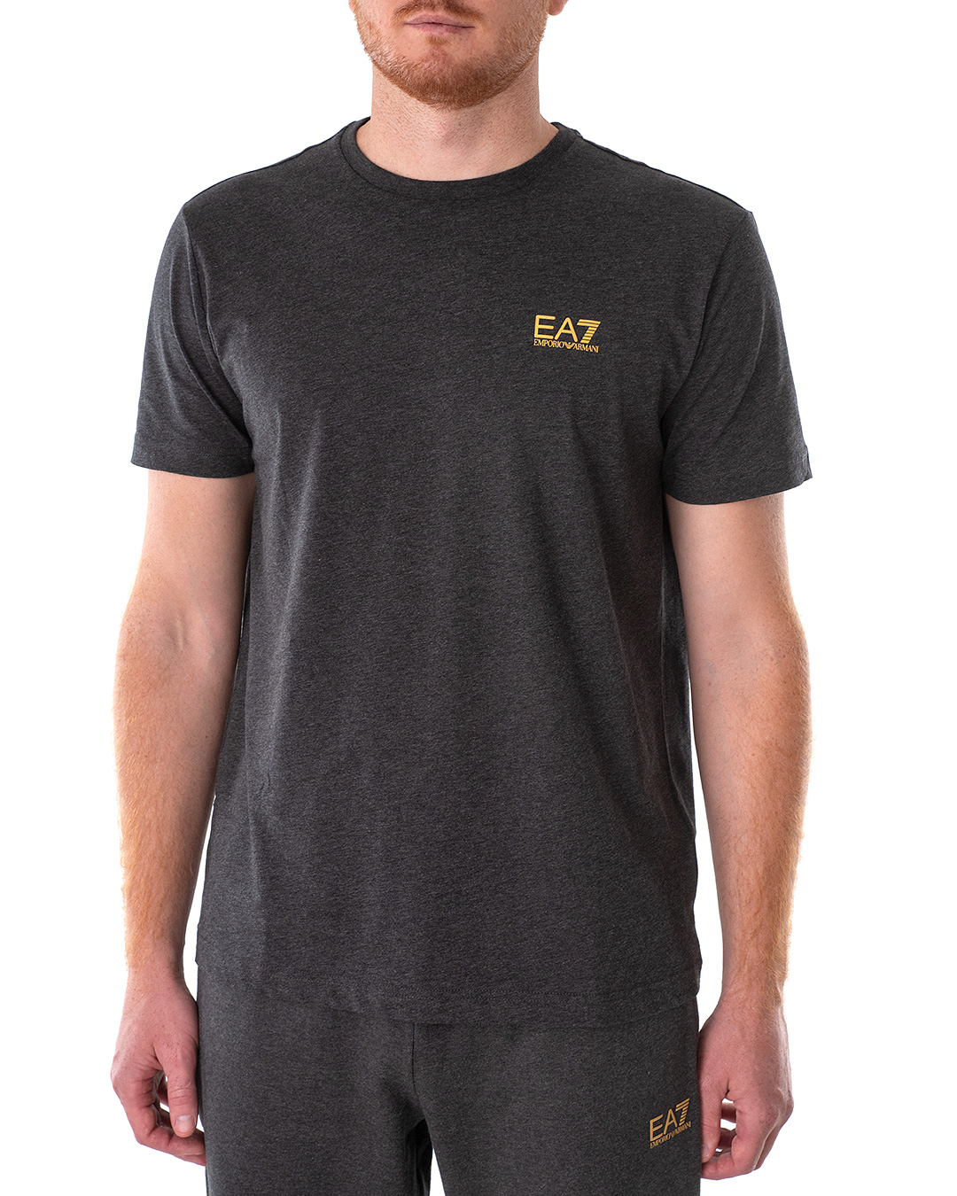 

Футболка чоловіча ARMANI EA7 (6KPT16-PJ02Z-3909/21-22) Сірий XXXL