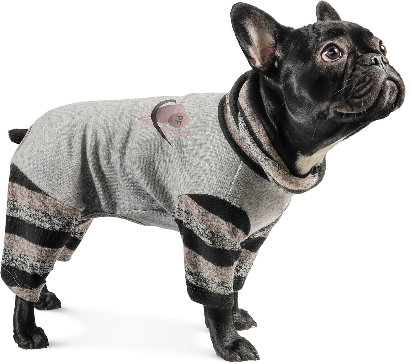 

Комбинезон Pet Fashion Юпитер X S-2