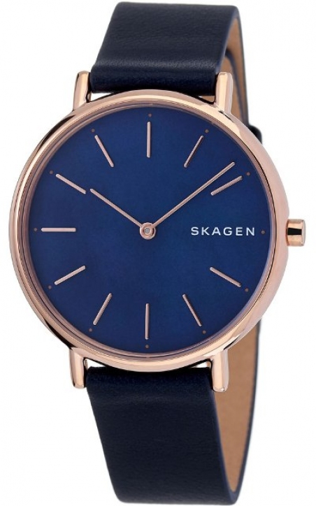 

Часы Skagen SKW2731
