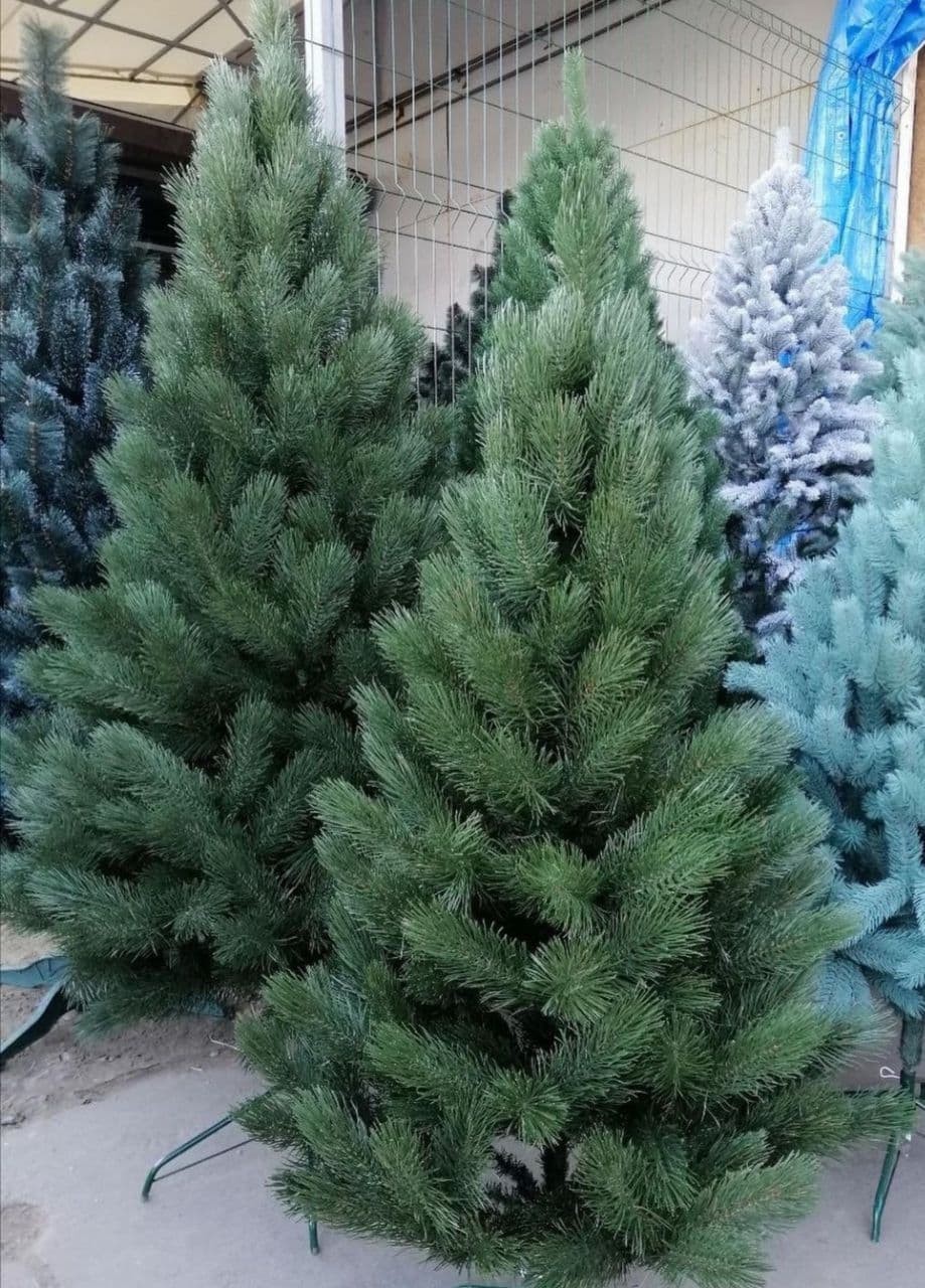 

Сосна искусственная литая 2,30 м (230см)