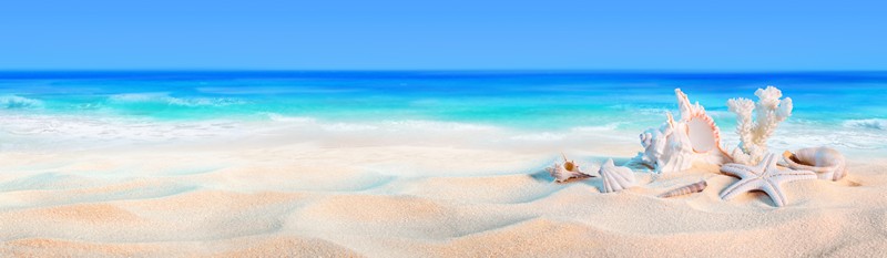 

BeHappy Фотообои Золотой песок SE-4 Джерси