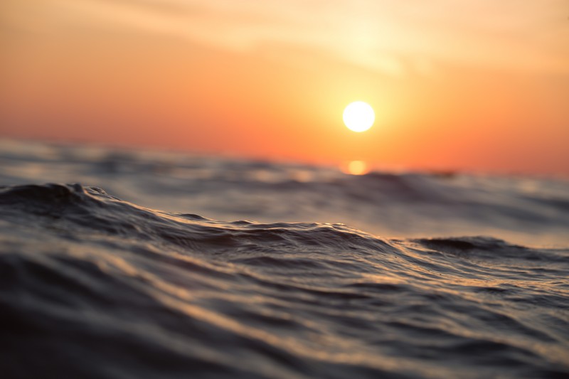 

BeHappy Фотообои Глубокое море SE-8 Живопись