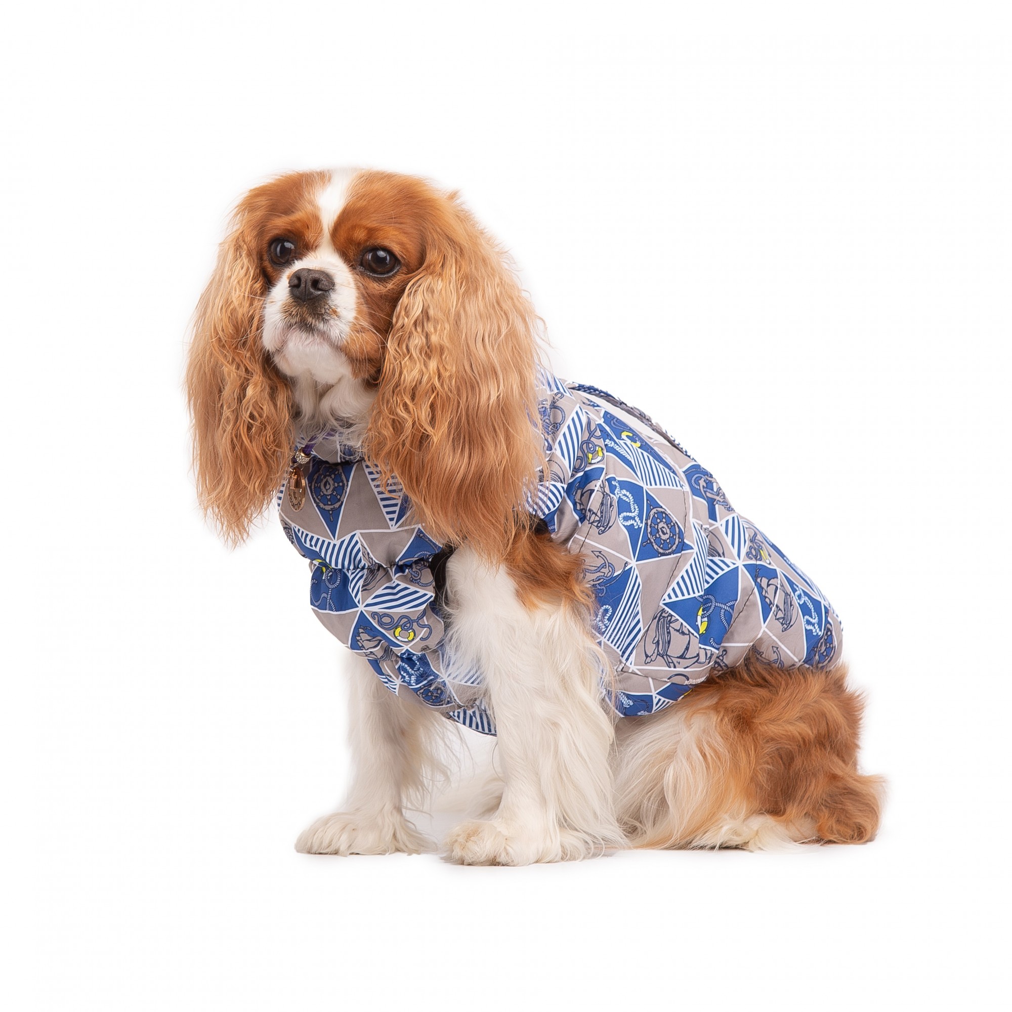 

Жилетка Diego Sport Морской принт 7 размер