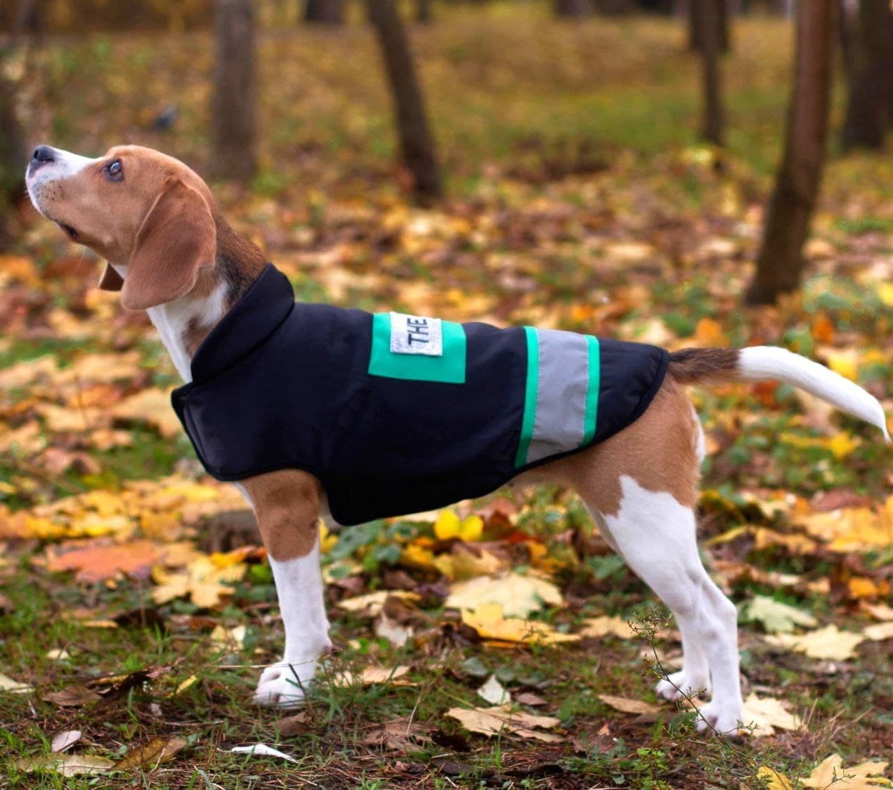 

Жилетка для собак DogClub Sven M Black-Green