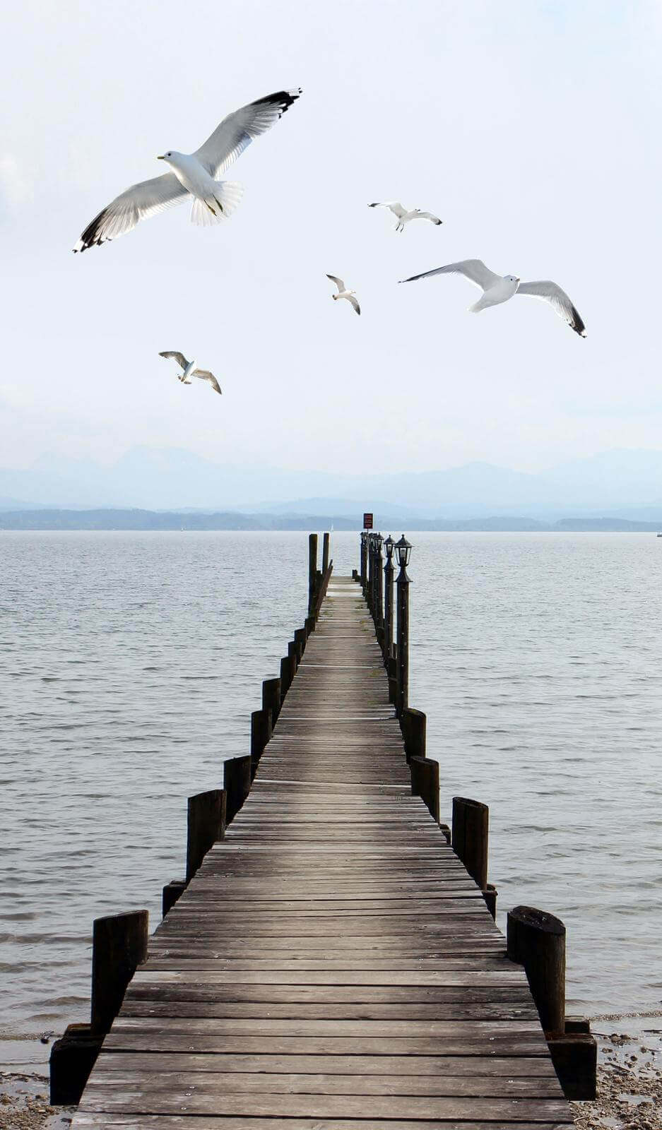 

Фотообои Арт-Обои Узкий пирс на озере №37108 Жаккард