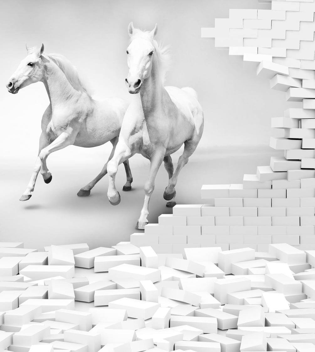 

Фотообои Арт-Обои Два белоснежных коня №41334 Фреска