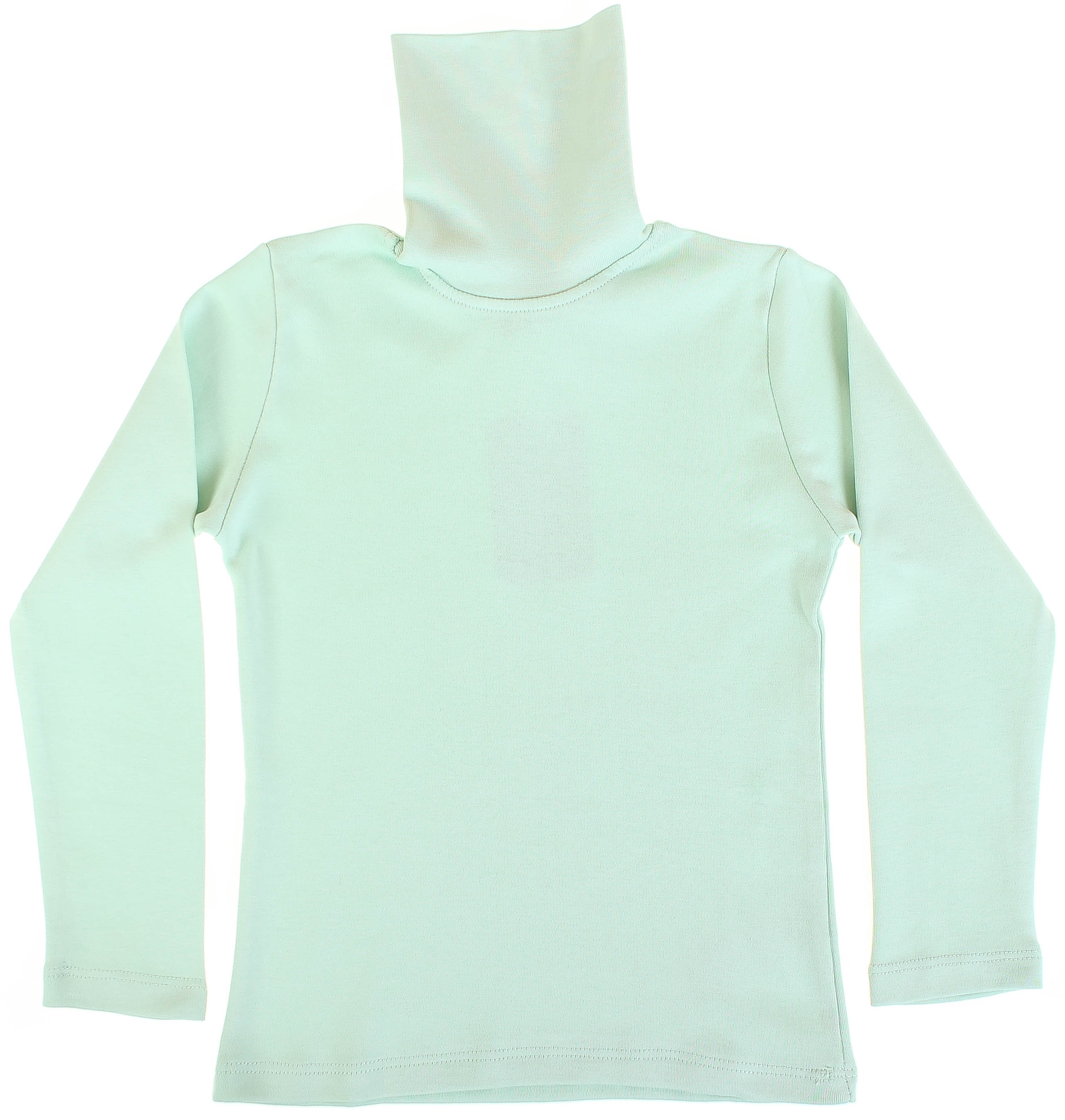 

Водолазка Lovetti Мятный 110 см 2022 (539744)