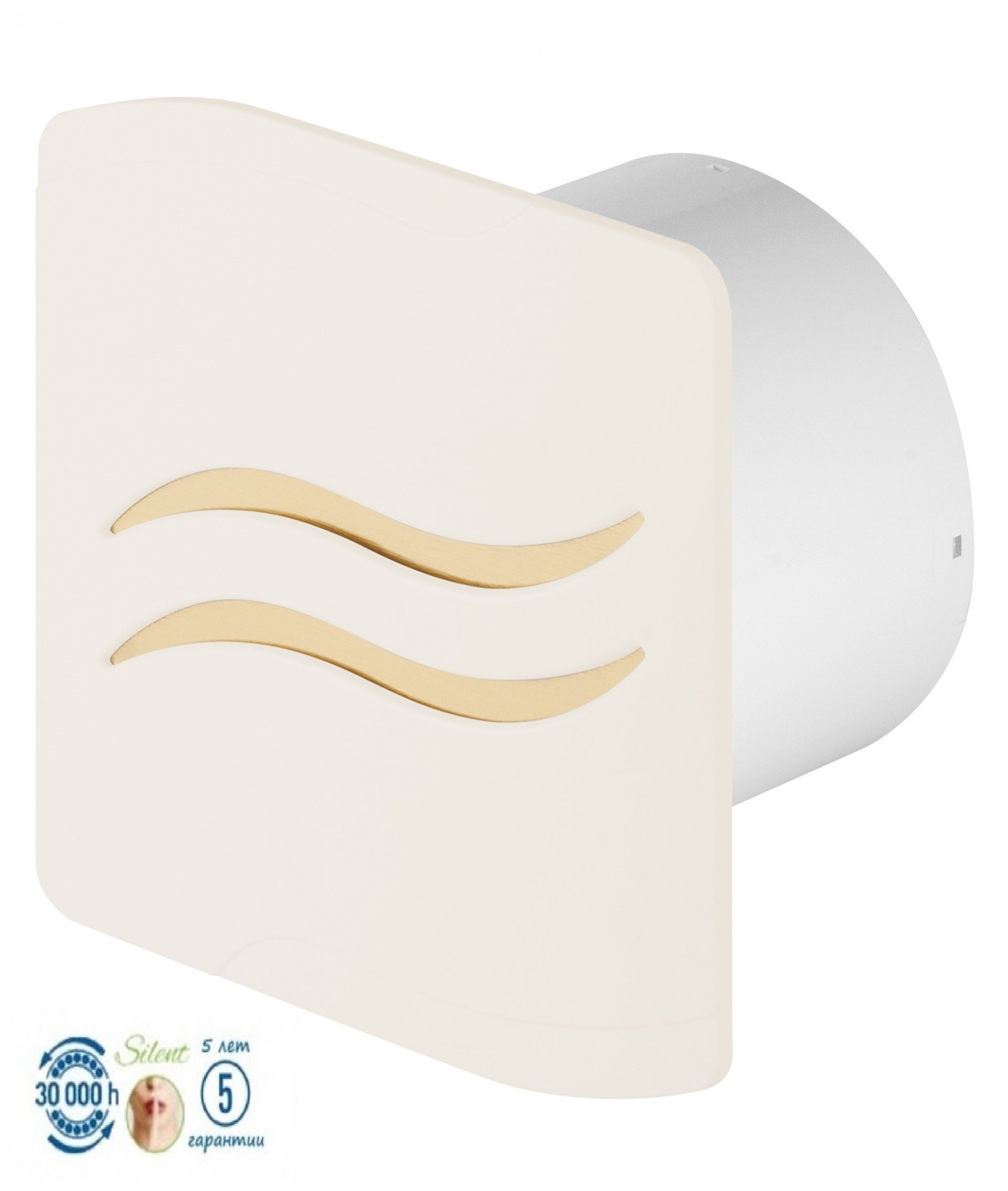 

Вентилятор Awenta System+ KWS-PSE 100 - бежевый