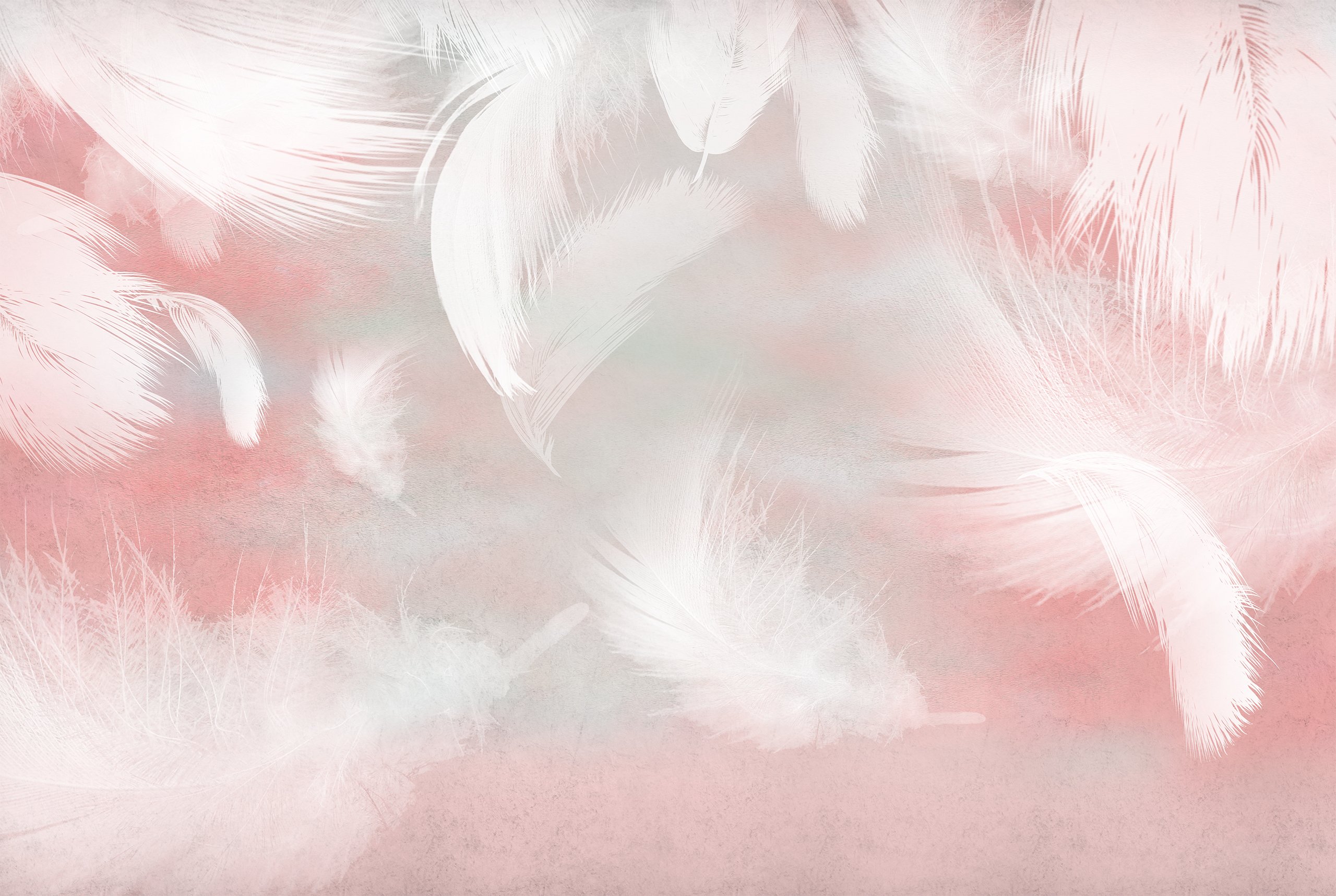 Фотообои розовые перья